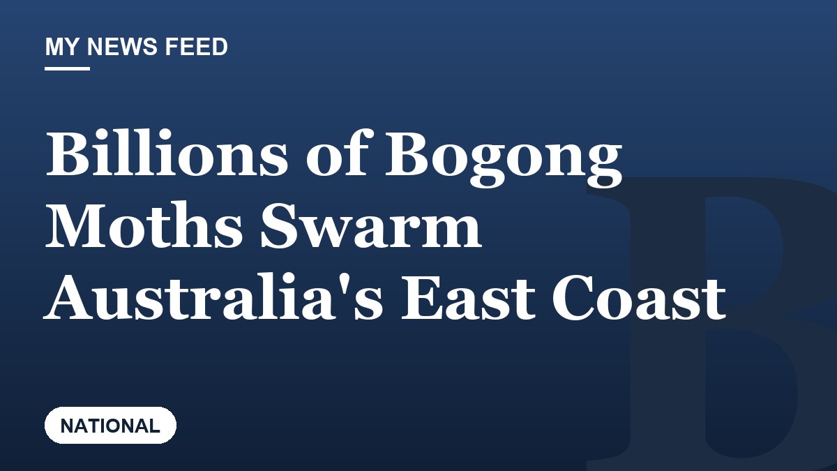 Billions of Bogong Moths Swarm Australia's East Coast