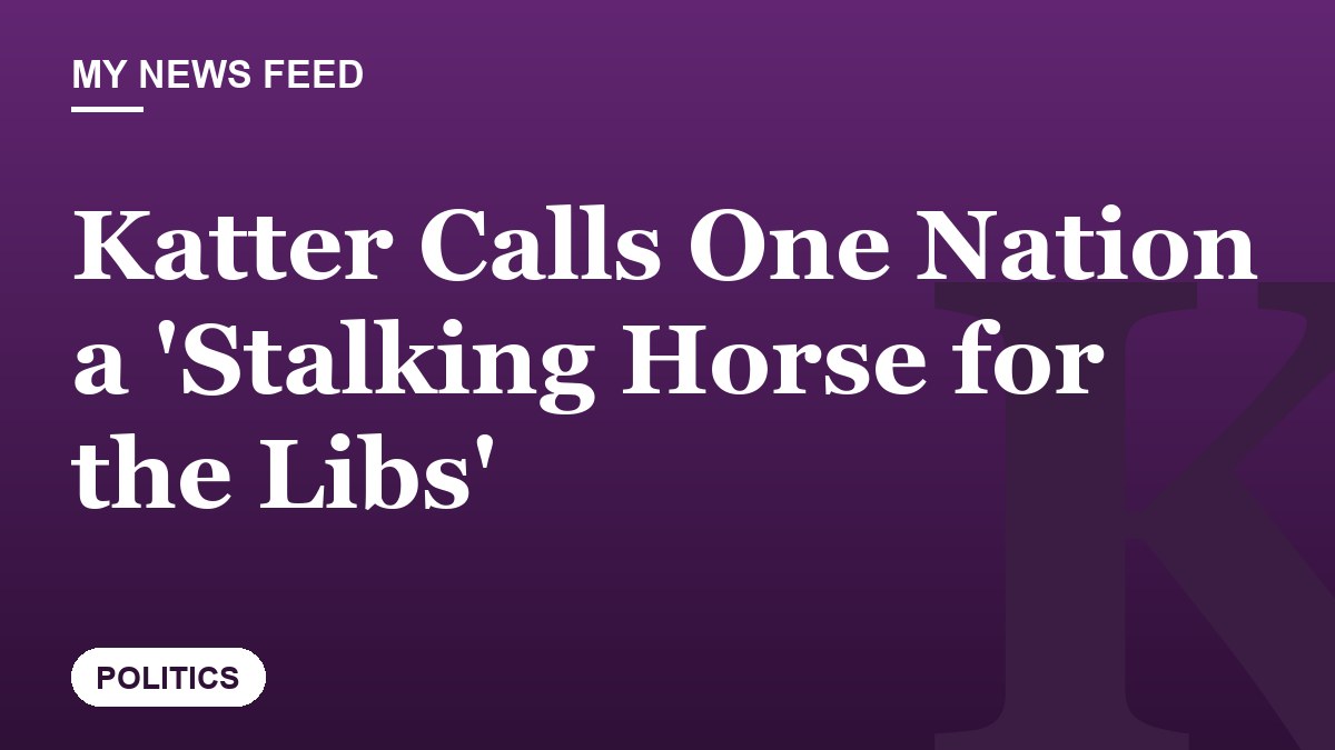 Katter Calls One Nation a 'Stalking Horse for the Libs'