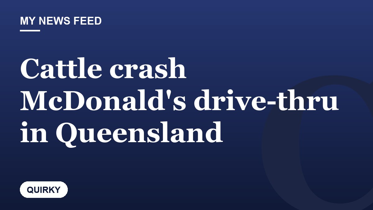 Cattle crash McDonald's drive-thru in Queensland