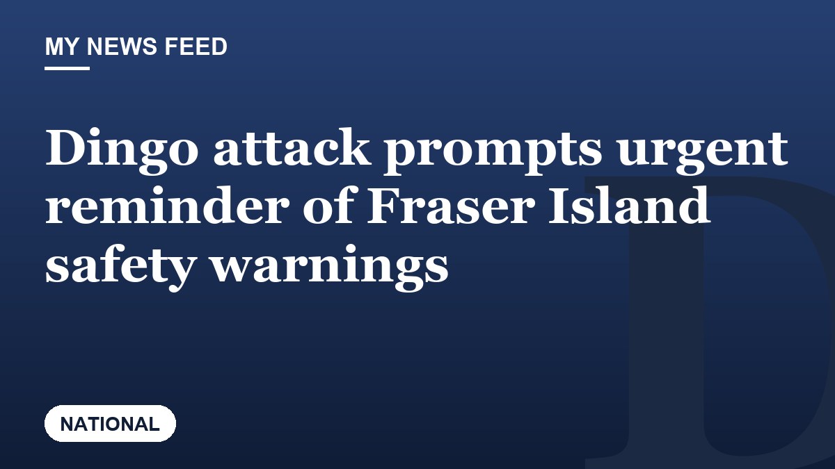 Dingo attack prompts urgent reminder of Fraser Island safety warnings