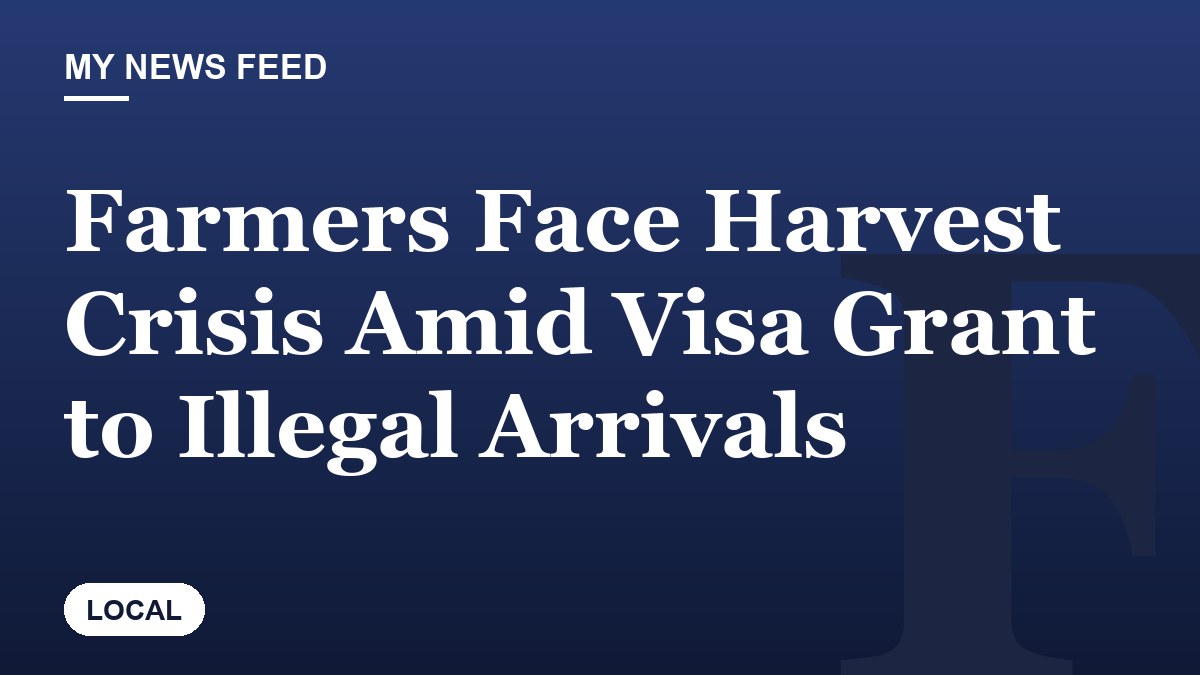 Farmers Face Harvest Crisis Amid Visa Grant to Illegal Arrivals