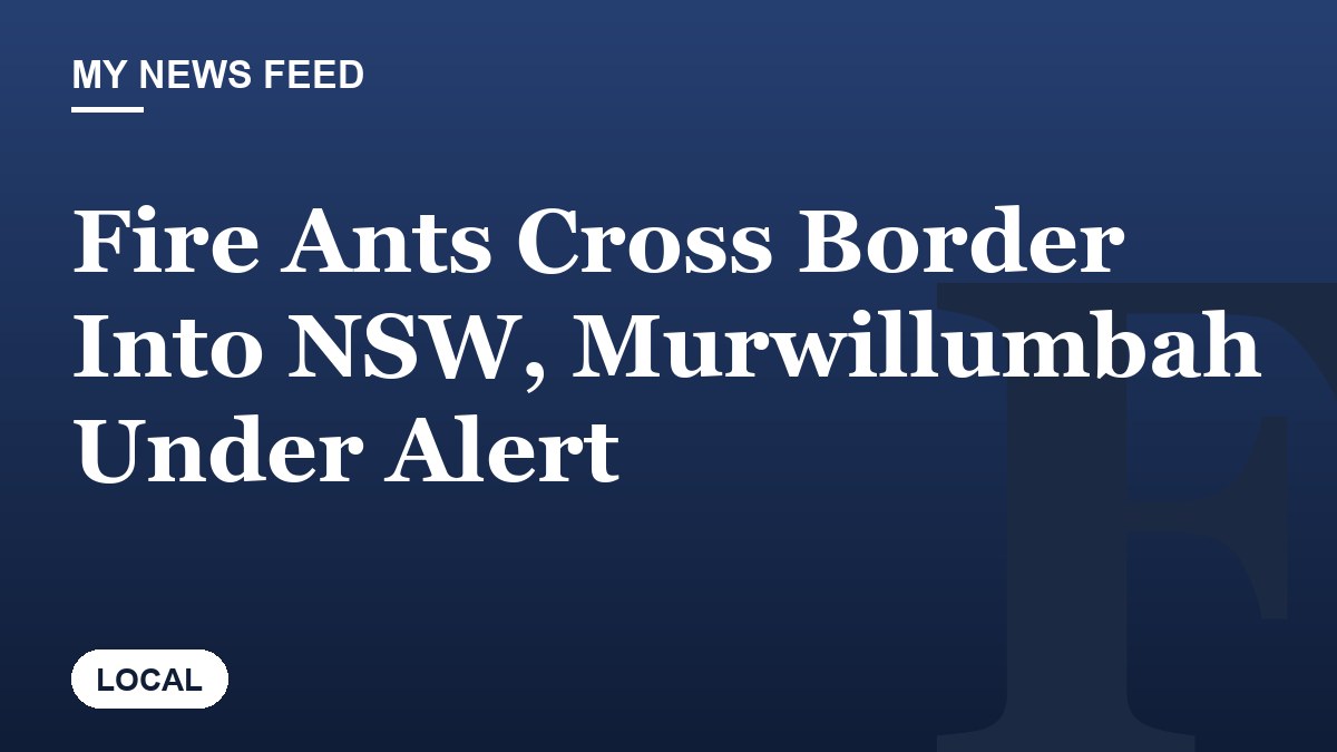Fire Ants Cross Border Into NSW, Murwillumbah Under Alert