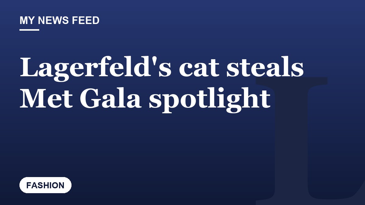 Lagerfeld's cat steals Met Gala spotlight