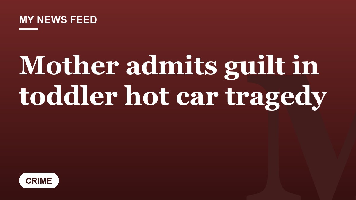 Mother admits guilt in toddler hot car tragedy