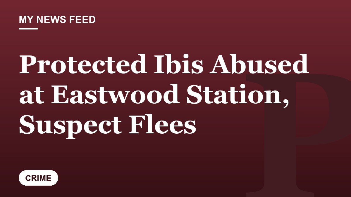Protected Ibis Abused at Eastwood Station, Suspect Flees