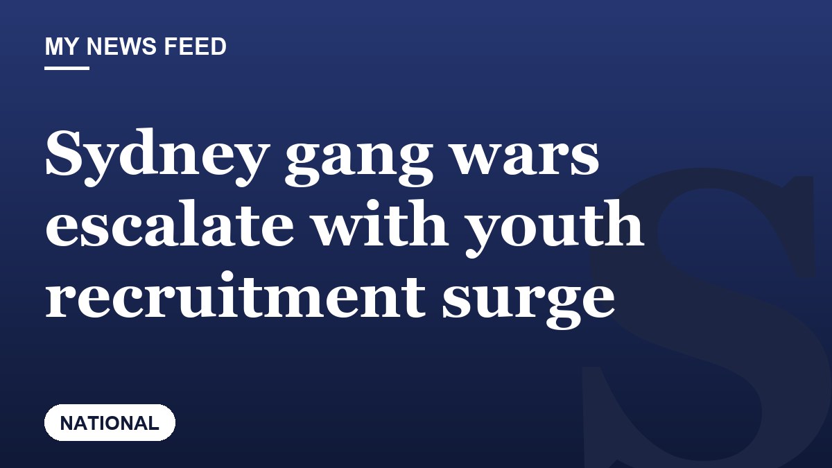 Sydney gang wars escalate with youth recruitment surge