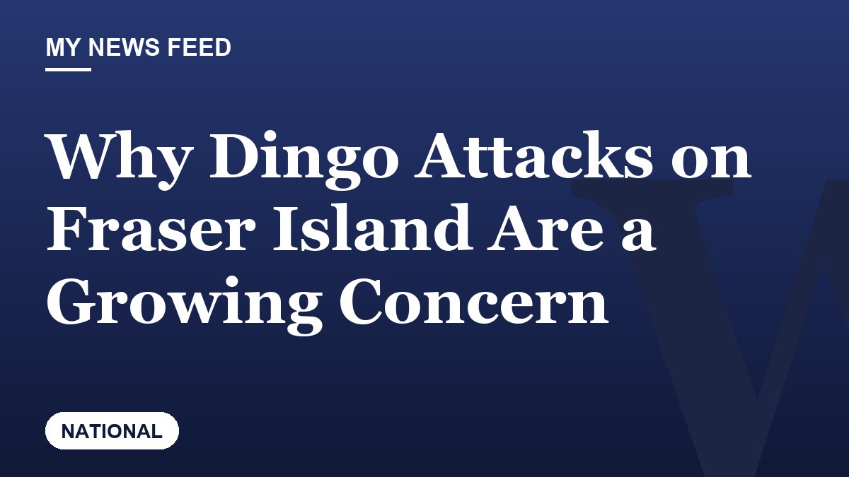 Why Dingo Attacks on Fraser Island Are a Growing Concern