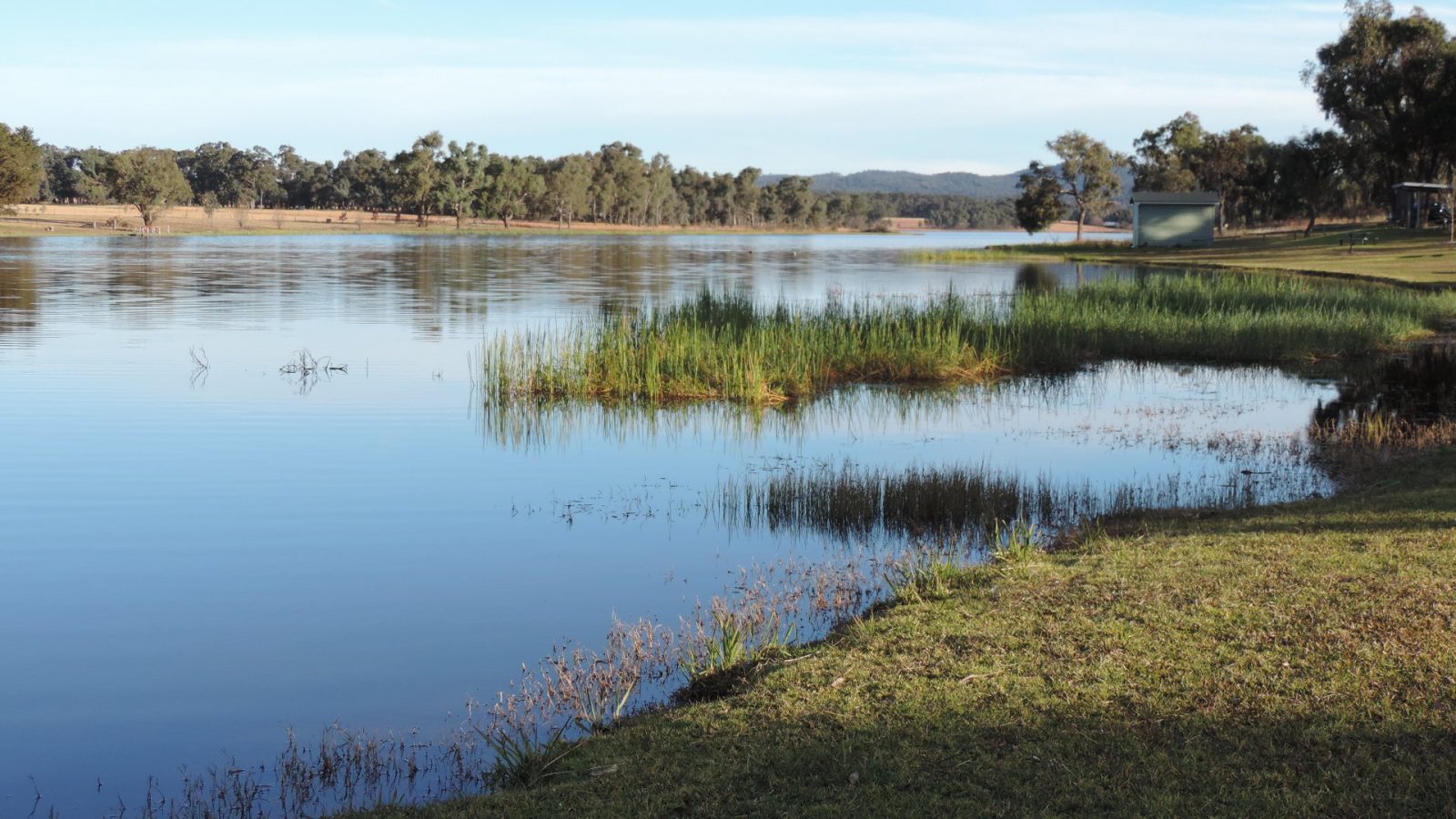 Fears of dam burst near Beaudersert