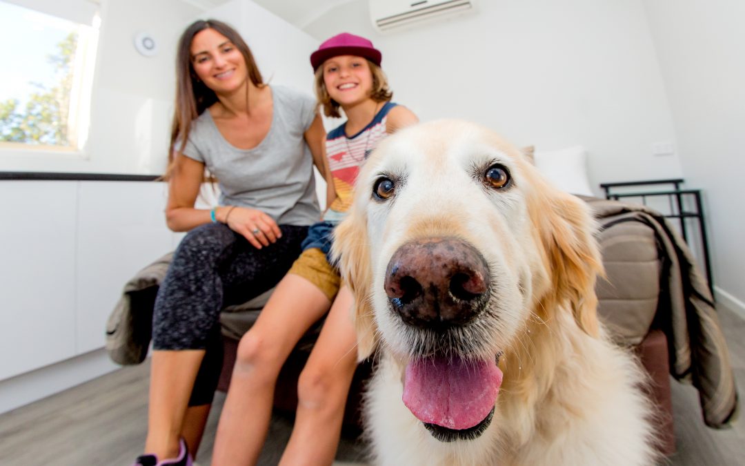 Pet friendly holiday location