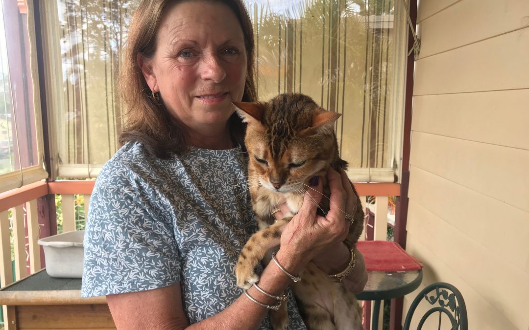 Logan City’s honorary ‘crazy cat lady’ thanks her supporters