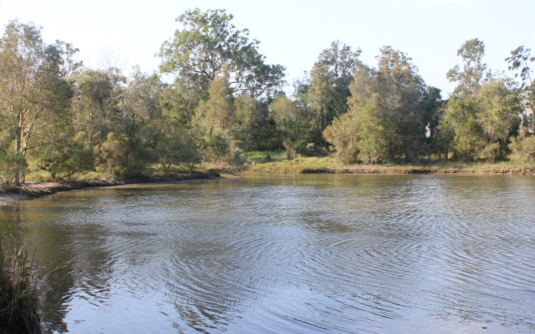 Logan City petition against wastewater proposal surfaces