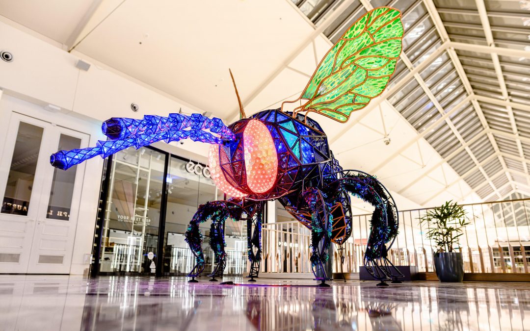Interactive insect invasion display takes flight at Logan City