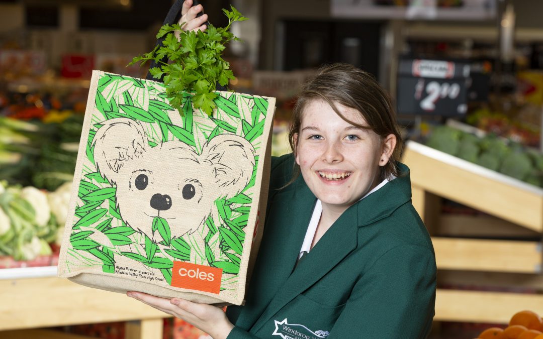Logan City art student designs for sustainability