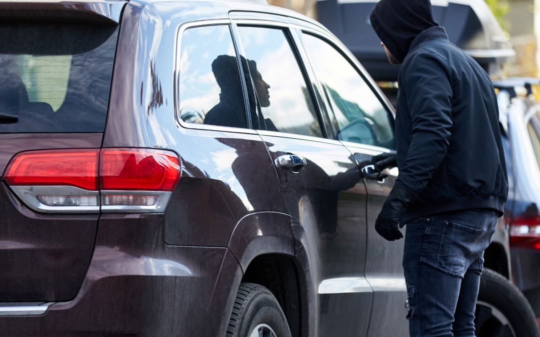 Logan police need public help to find stolen vehicles