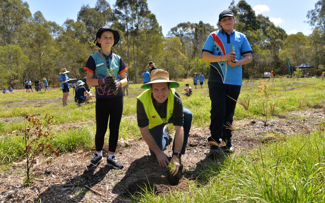 Logan City students help save endangered native tree