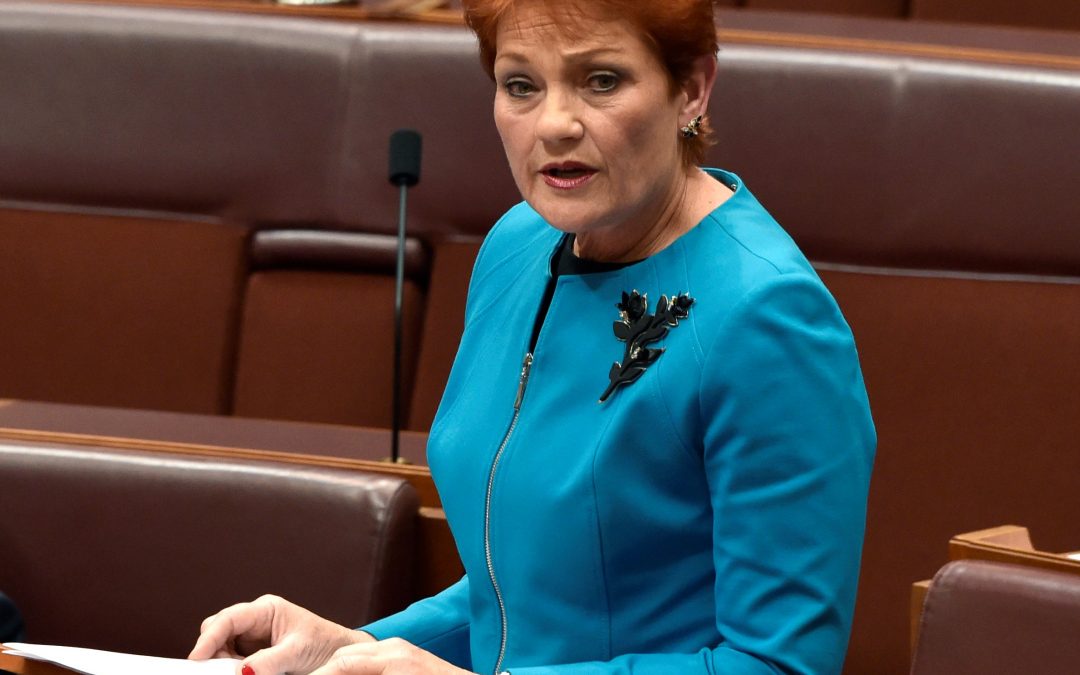One Nation – Local election fallout