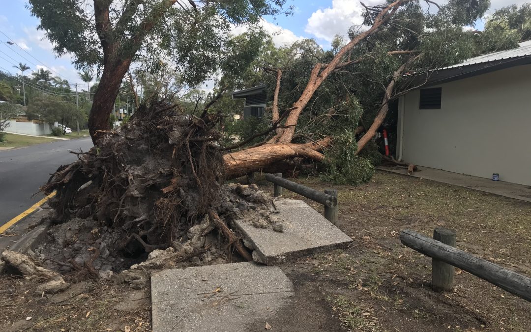 Be prepared as Logan City heads into storm season