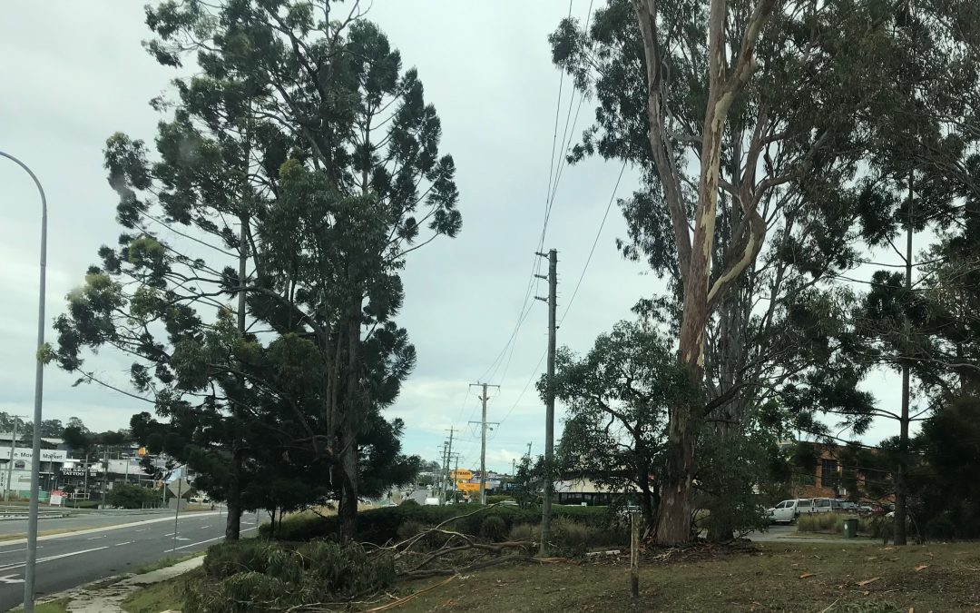 Back to business after destructive storm
