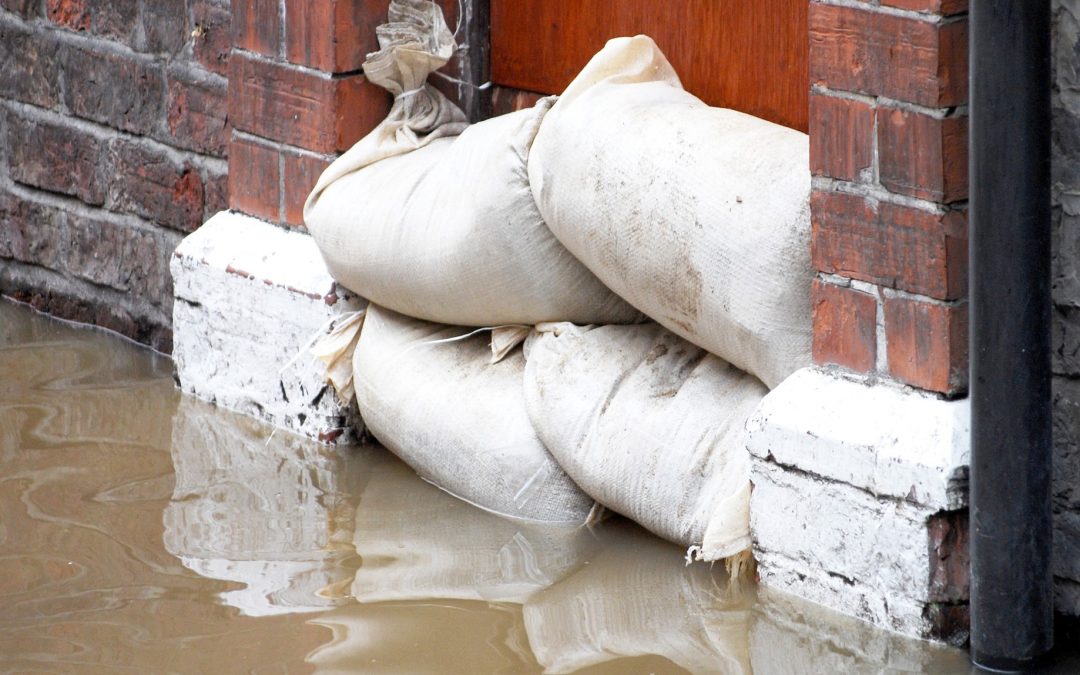 Like a Category One cyclone – Logan City won’t escape it