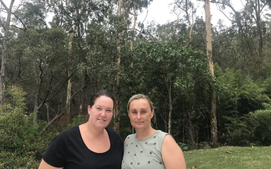 Koala bushland road proposal ‘we were told it was approved’