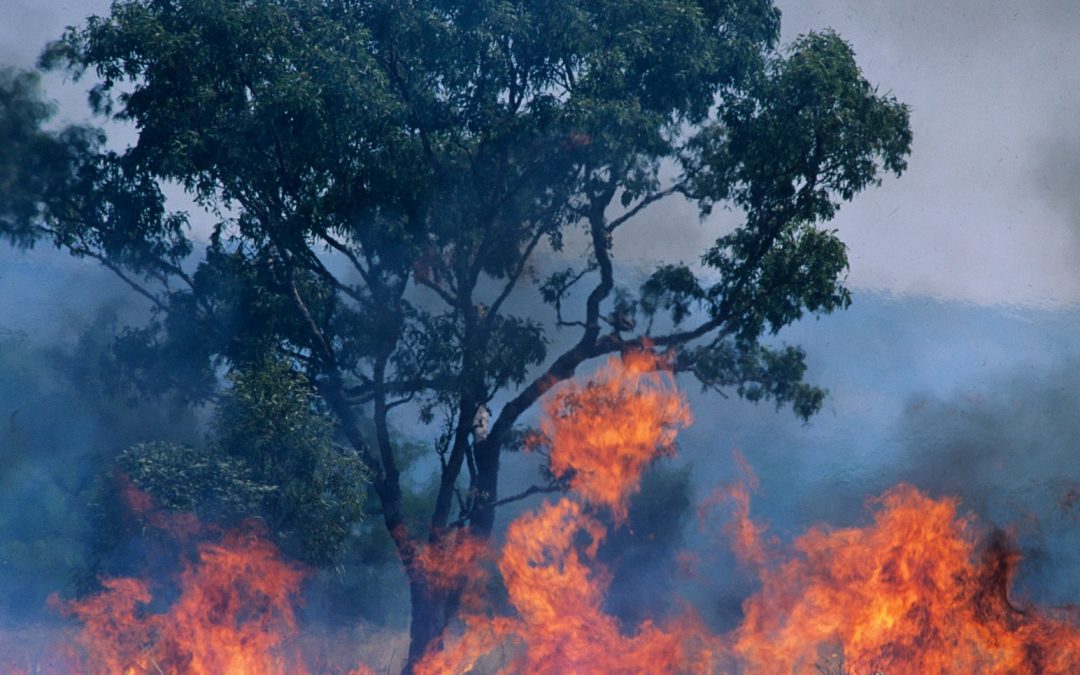 Police urge us to get ready now for disaster season