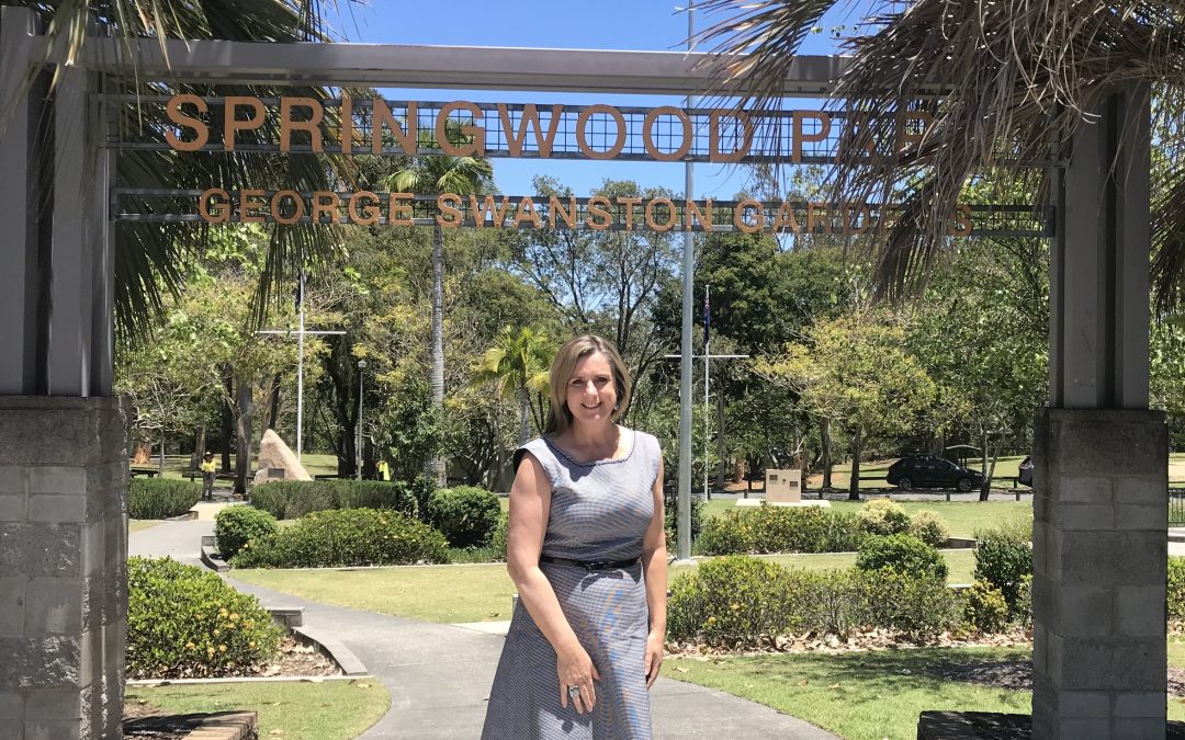 PLANS REVEALED: Springwood Park ANZAC memorial to stay