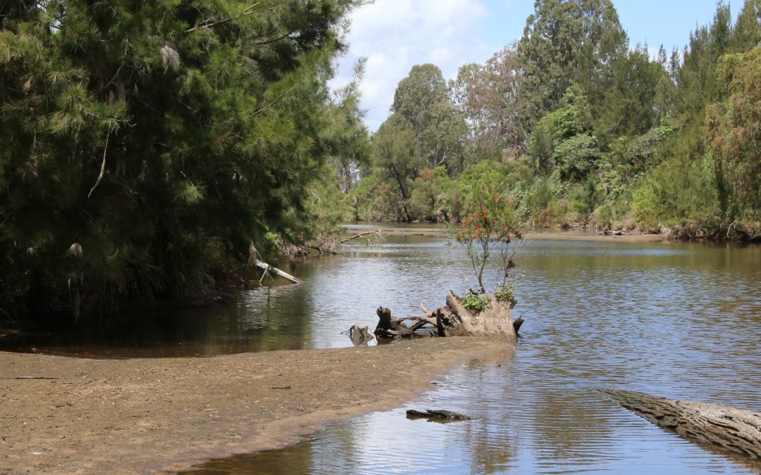 Renewed flooding possible at Beaudesert