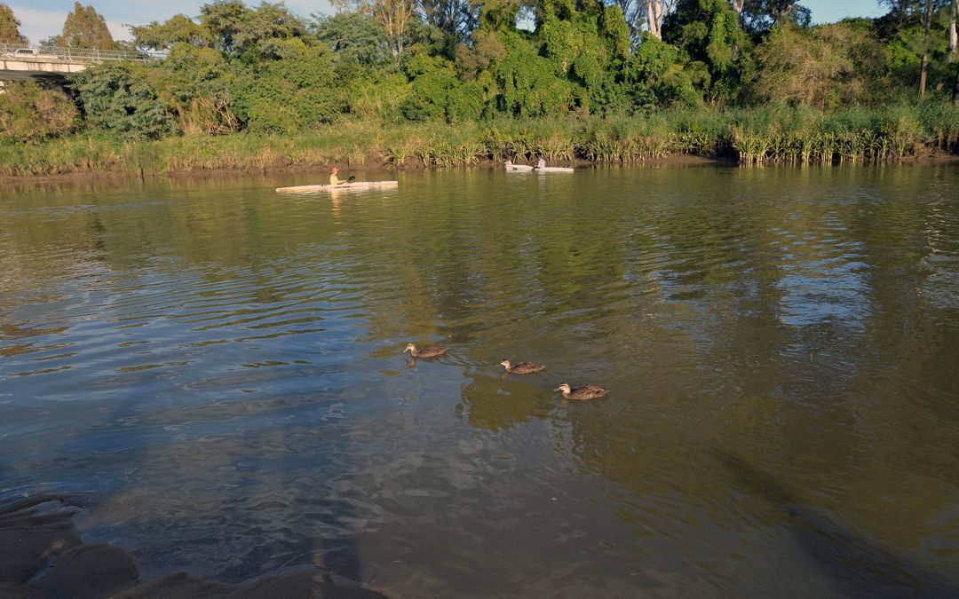 Scenic Rim Council reports improvement in the condition of waterways in local catchments