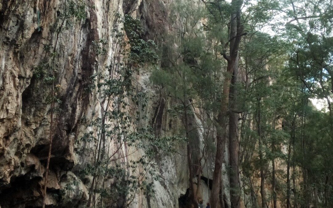 Scenic Rim Council supports long-term sustainability of Minto Crag