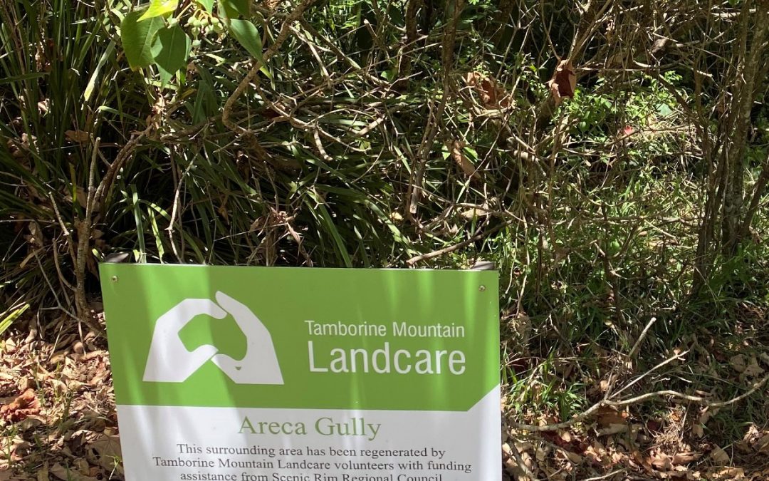 Scenic Rim’s natural environment benefits from grants
