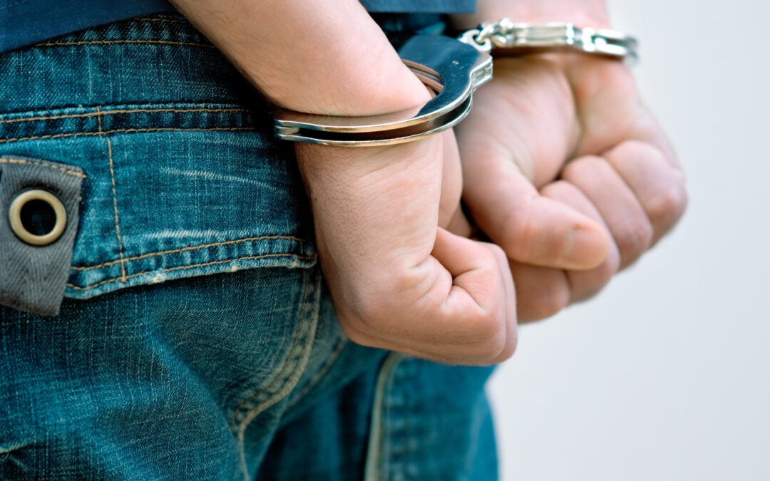 Logan City car theft ends in northern NSW