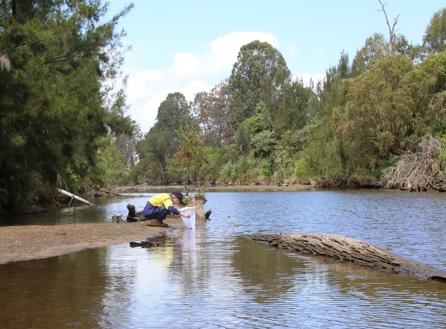 Collaboration key to improving Logan-Albert catchment