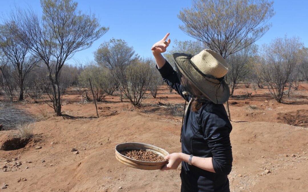 Get fossicking in Queensland’s backyard