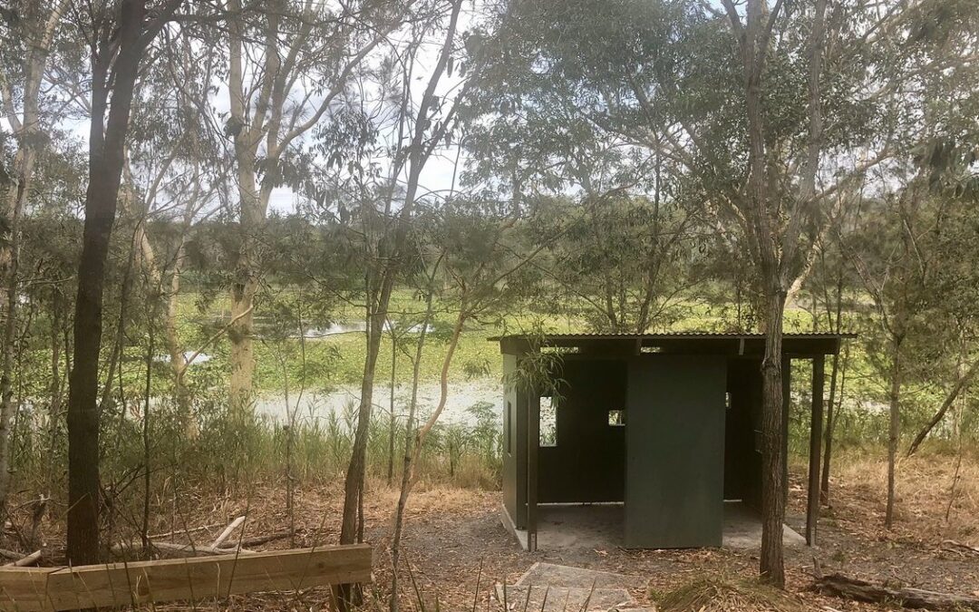 Registration open for Berrinba Wetlands Spotlighting