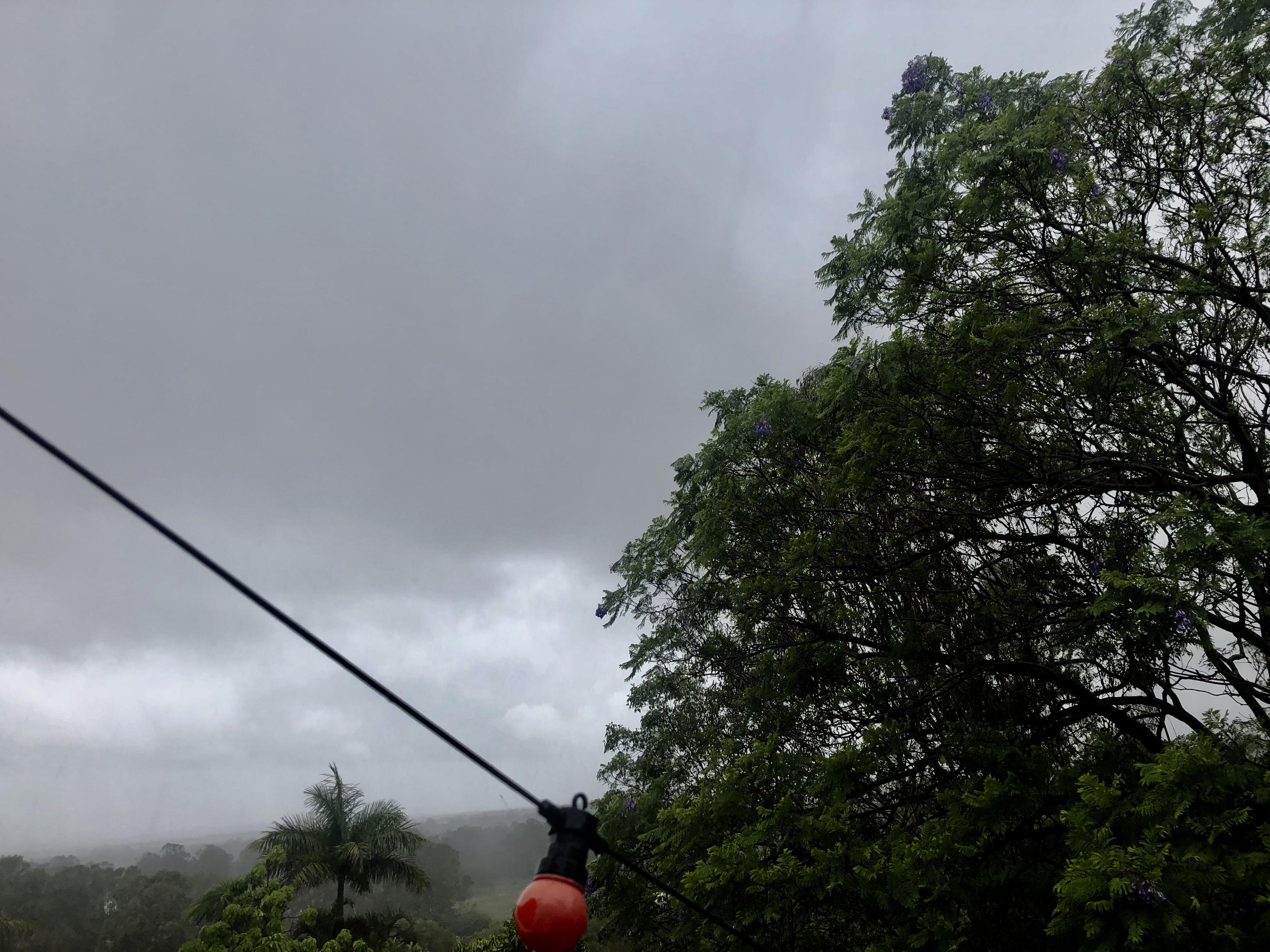 More rain forecast for Logan