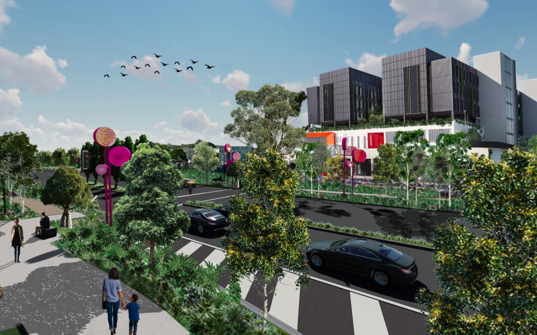Meadowbrook health vision takes shape