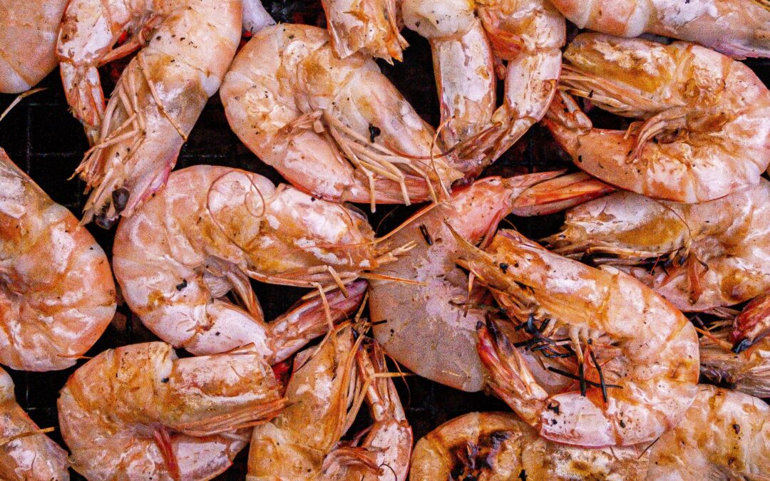 Two Logan prawn farms confirm WhiteSpot disease