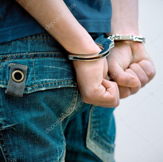 Logan City man jailed again but this time it’s not for animal cruelty