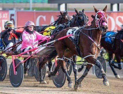 Harness racing goes teal for cancer research