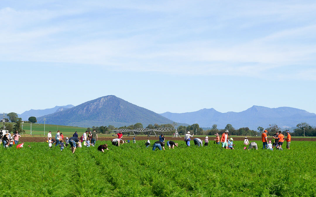 Be part of Scenic Rim Eat Local Week