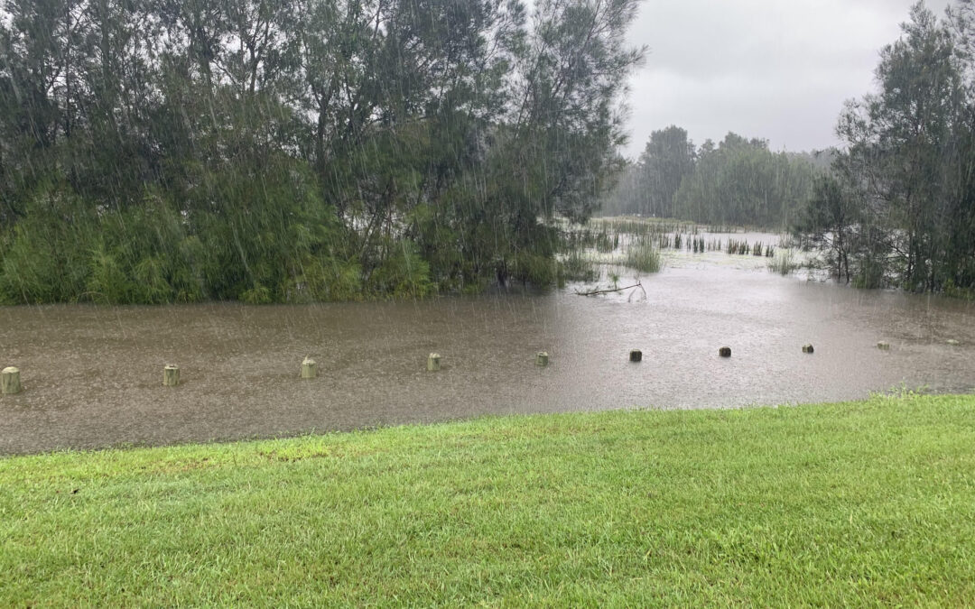 Wet weather advisory continues