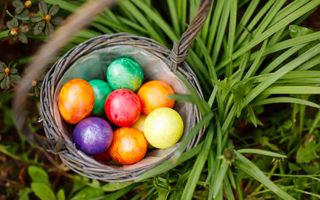 This Weekend | Events happening in Logan City
