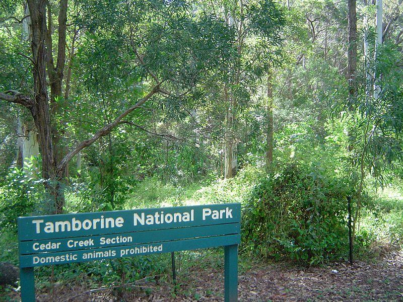 Teenager found dead after search of popular swimming spot