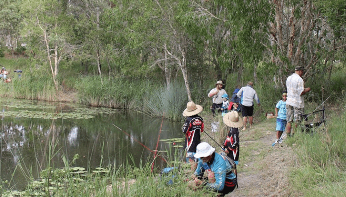 Competition to help rid Logan City waterways of two pests.