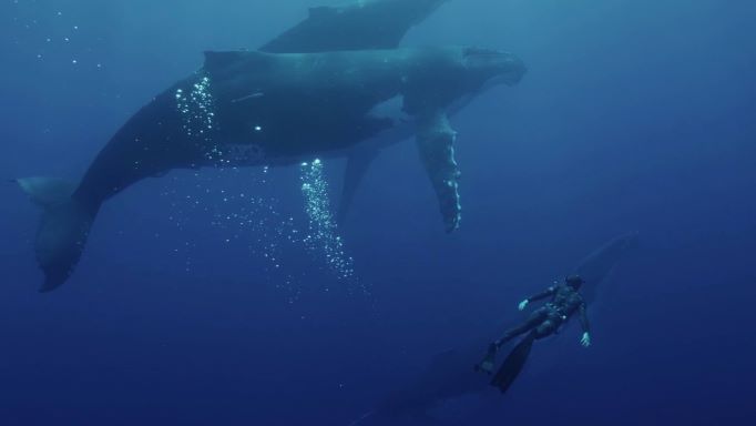 Logan Libraries to mark National Water Week with a special documentary