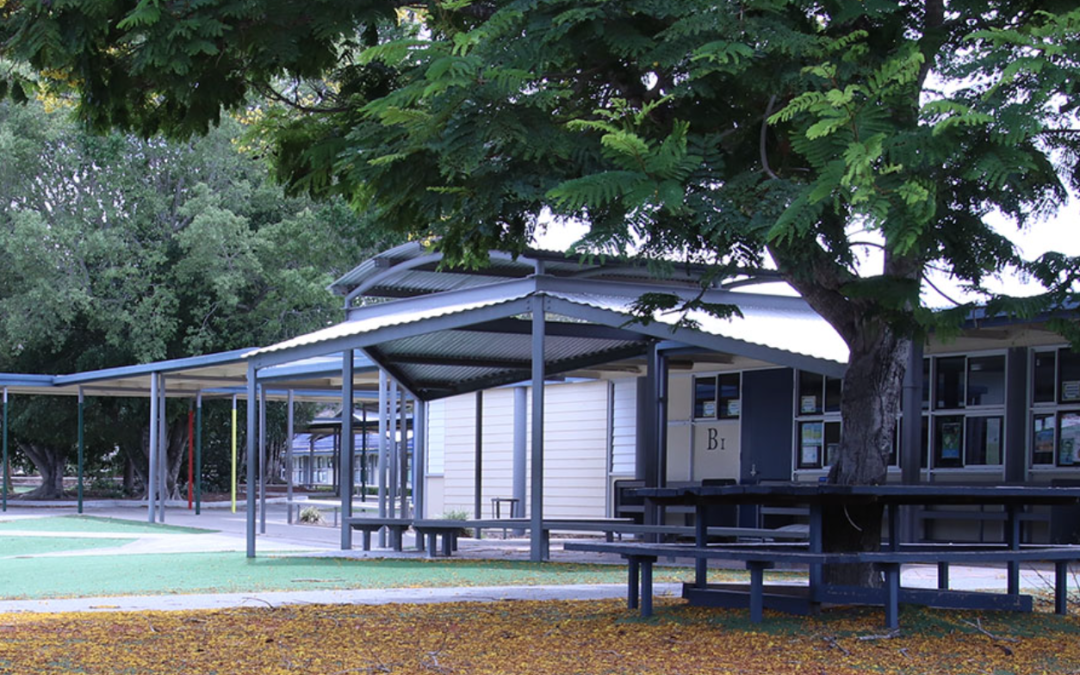 Windaroo State School cleared of COVID-19 infection