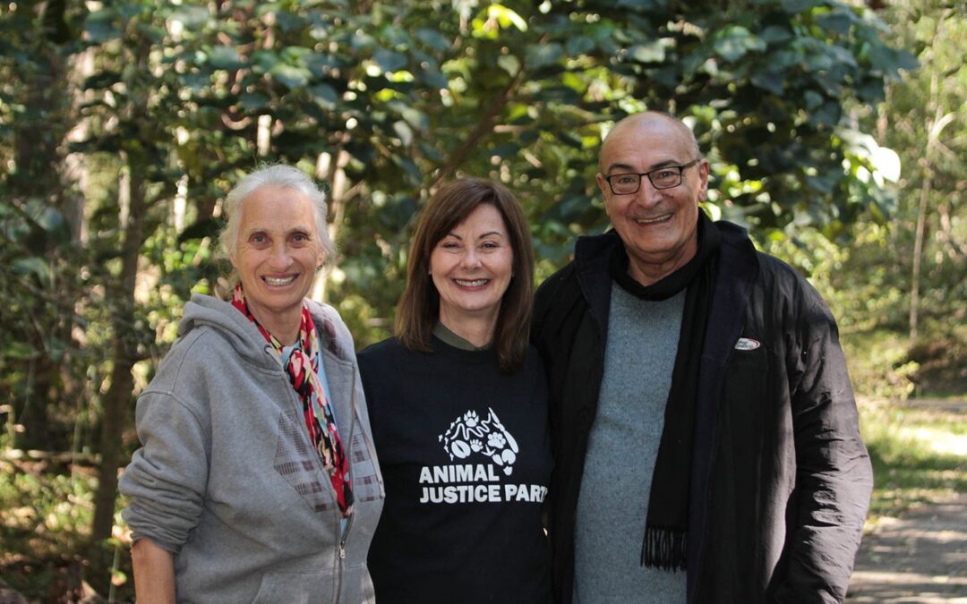 Animal rights candidates pull out of election