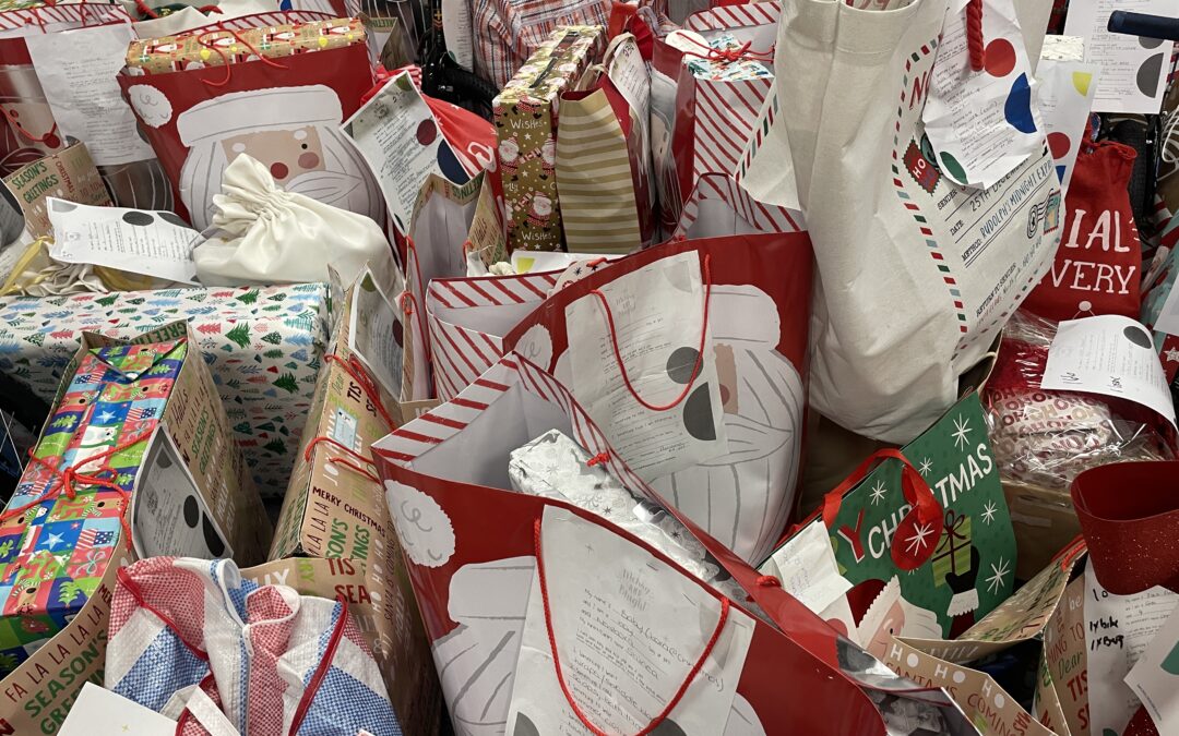 Lighthouse Care making Logan locals dreams come true this Christmas