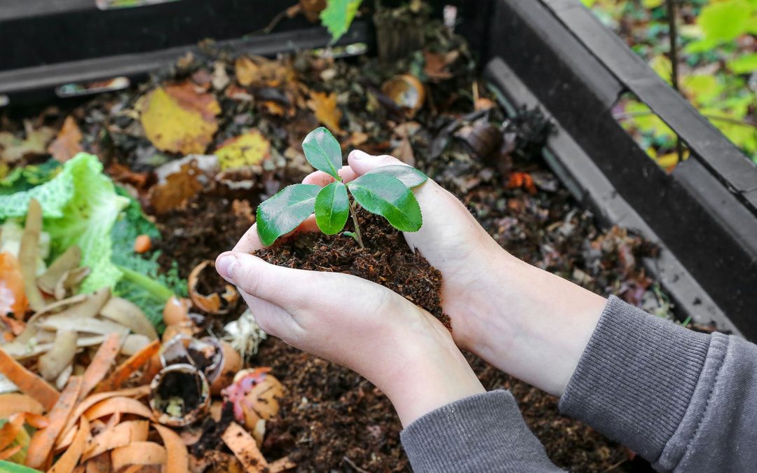 Logan residents offered rebates for worm farms