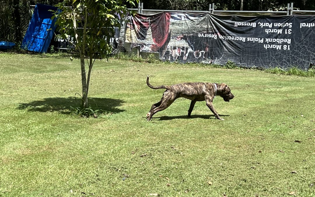 A look inside Beenleigh’s AWLQ